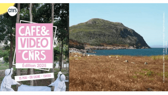 Café & Vidéo du CNRS : Les premiers hommes de Saint-Pierre-et-Miquelon [Occitanie Est]