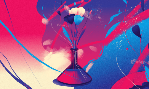 Laissez-vous surprendre à l’Espace des sciences de Morlaix !