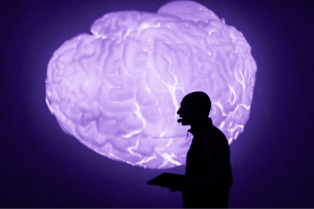 Cerveau aux rayons X